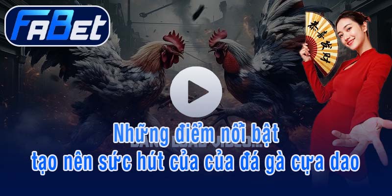 Những điểm nổi bật tạo nên sức hút của của đá gà cựa dao